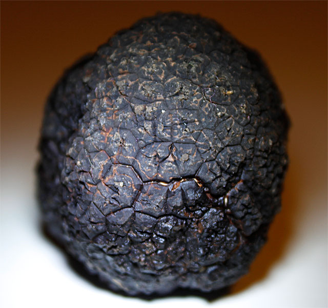 Trufa Negra Preciosa (Nero di Norcia) – TartuChef